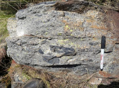 Ancient meteorite disaster 3.26b years ago may have fueled early life evolution