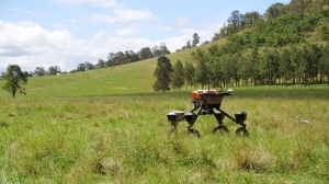 Meet SwagBot, the AI-powered robot cattle herder preventing soil degradation